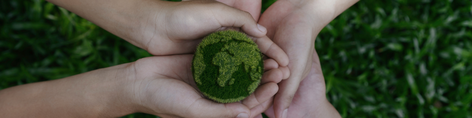 Hands holding an earth